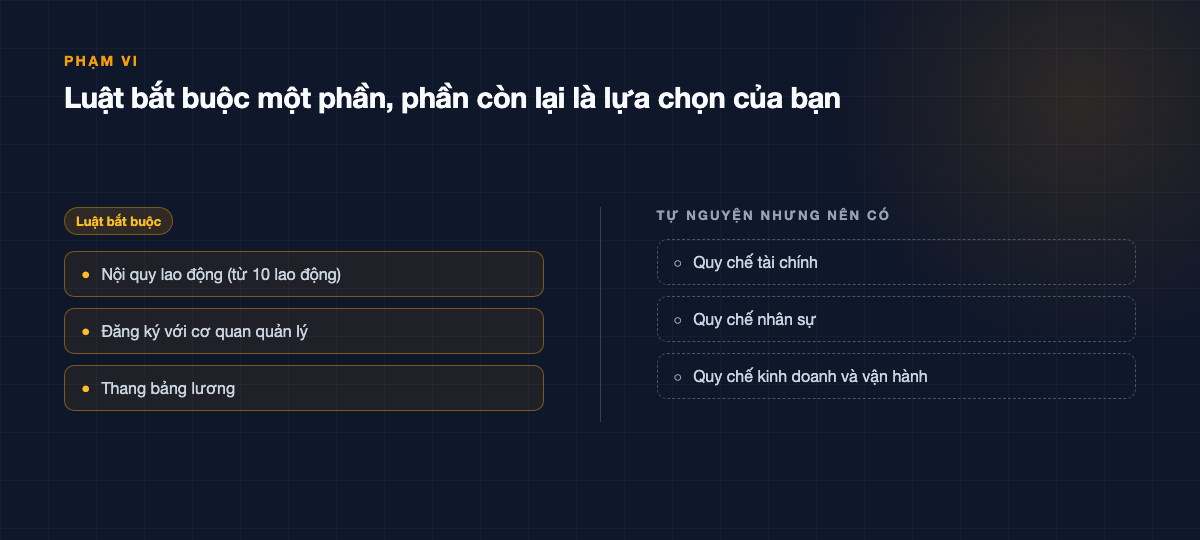 Hai nhóm văn bản: nhóm luật bắt buộc và nhóm tự nguyện nên có